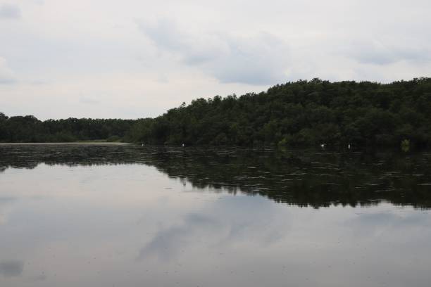 istock Serene lakeside view with a wooden dock extending into the calm water. 2183613779