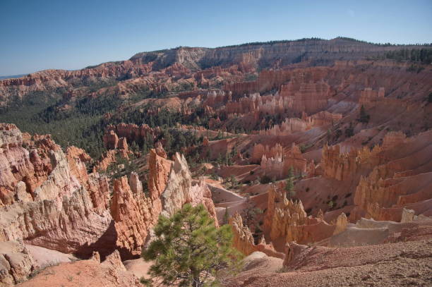 istock Rocks in Bryce Canyon National Park 2183619799