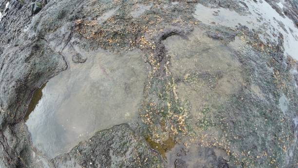 istock Potholes in a road filled with water, showcasing rough texture and uneven surfaces 2183620730