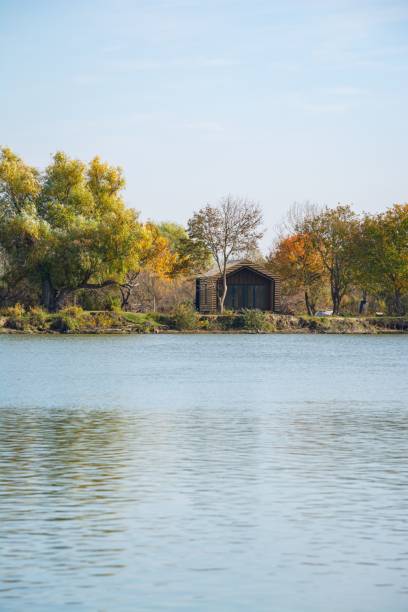 Lakeside cabin with autumn trees under clear sky.