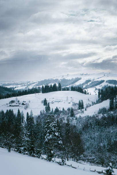 istock Snow-Covered Forested Hills and Mountainous Landscape on a Winter Day 2183622907