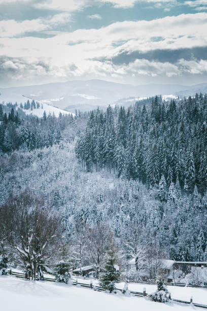 A serene winter landscape featuring snow-laden trees and rolling hills. The pine and deciduous trees are covered in fresh snow, creating a peaceful scene under a cloudy sky. Ideal for capturing the beauty of winter in the mountains.