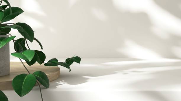 istock Modern, minimal empty cream white counter table top in sunlight, tree leaf foliage shadow on wall for luxury organic fashion, beauty, cosmetic, skincare, body care product display background 3D 2183624271