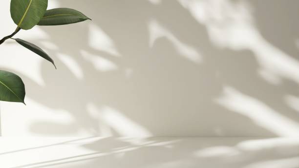 istock Modern, minimal empty cream white counter table top in sunlight, tree leaf foliage shadow on wall for luxury organic fashion, beauty, cosmetic, skincare, body care product display background 3D 2183624469