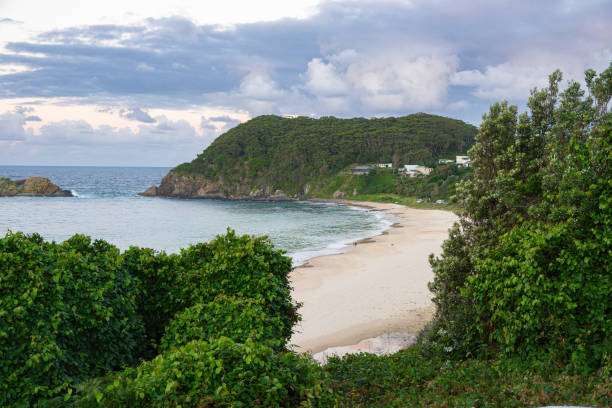 istock Seal Rocks Bay, Australia 2183626061