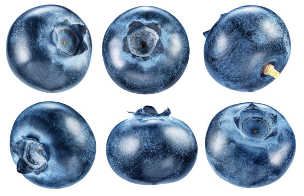 istock Set of six ripe blueberries on white background. File contains clipping paths. 2183626131