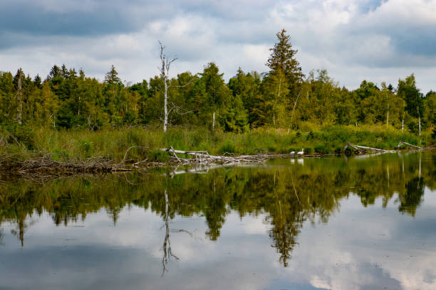 istock Lake landscape at Pfrunger Ried, Germany 2183629056