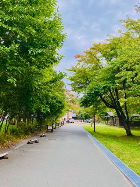 istock Serene pathway lined with lush green trees under a partly cloudy sky. Shikotsu Toya National Park 2183634657