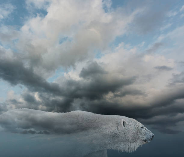 Conceptual image of polar bear walking through storm clouds, John M Lund
