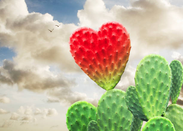istock Conceptual image of red and green cactus shaped like heart 2183639942