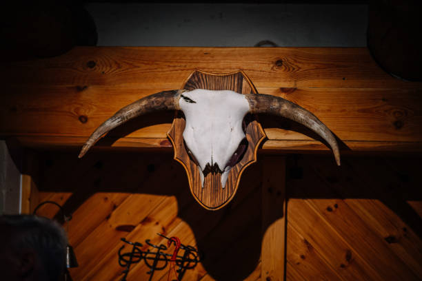 A mounted skull with large curved horns decorates a wooden wall, creating a rustic, western-themed aesthetic with natural wood tones and warm lighting.