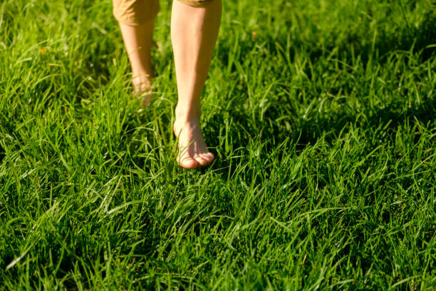 istock Woman walking on the grass barefoot. grounding / earthing 2183646273