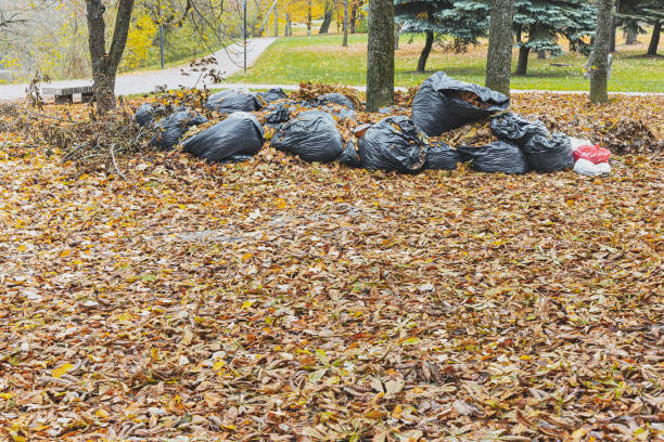 istock Black plastic garbage bags full of leaves 2183649094