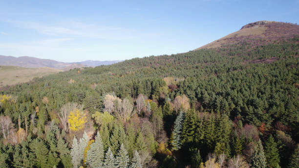 istock Beautiful dense forest on mountains. Lush Dense Forest on Caucasian Mountains. Verdant Forest Landscape in Caucasus Mountains. Beautiful Dense Woodland on Caucasian Slopes. Green Forest on Caucasus Mountain Range. Thick Forest. Aerial Photography. 2183658098