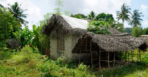 istock Tanzania building 2183658501