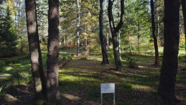 istock Beautiful dense forest on mountains. Lush Dense Forest on Caucasian Mountains. Verdant Forest Landscape in Caucasus Mountains. Beautiful Dense Woodland on Caucasian Slopes. Green Forest on Caucasus Mountain Range. Thick Forest. Aerial Photography. 2183658613