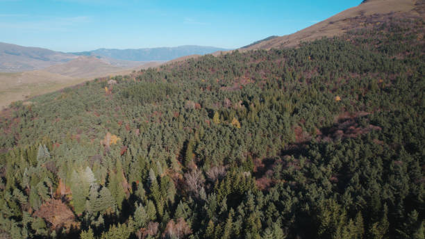 istock Beautiful dense forest on mountains. Lush Dense Forest on Caucasian Mountains. Verdant Forest Landscape in Caucasus Mountains. Beautiful Dense Woodland on Caucasian Slopes. Green Forest on Caucasus Mountain Range. Thick Forest. Aerial Photography. 2183659522