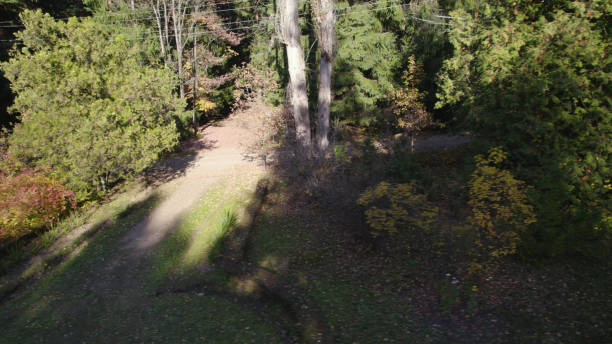 Green Forest on Caucasus Mountain Range. Thick Forest Canopy in Caucasian Mountains. Beautiful dense forest on mountains. Lush Dense Forest on Caucasian Mountains. Verdant Forest Landscape in Caucasus Mountains. Beautiful Dense Woodland on Caucasian Slopes. Aerial photography
