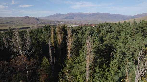 istock Beautiful dense forest on mountains. Lush Dense Forest on Caucasian Mountains. Verdant Forest Landscape in Caucasus Mountains. Beautiful Dense Woodland on Caucasian Slopes. Green Forest on Caucasus Mountain Range. Thick Forest. Aerial Photography. 2183660893