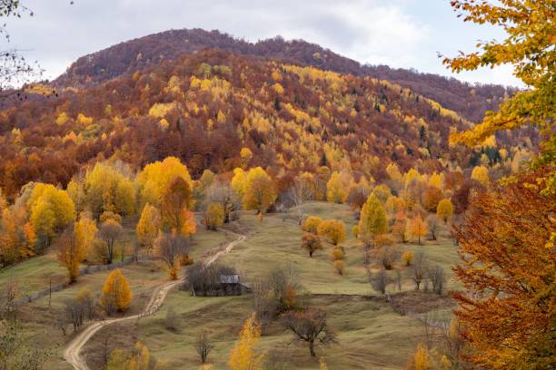 istock Scenic autumn landscape with colorful trees and a rustic cabin on rolling hills under a cloudy sky 2183665862