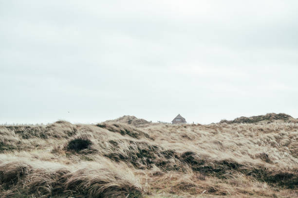autumnal winter dune landscape during a strong storm