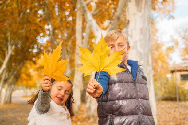 Children have fun in an autumn landscape. Madrid, Spain.