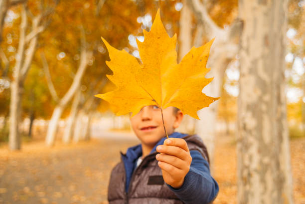 Children have fun in an autumn landscape. Madrid, Spain.