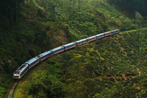 Scenic view of train passing Ella and tea plantations in Sri Lanka