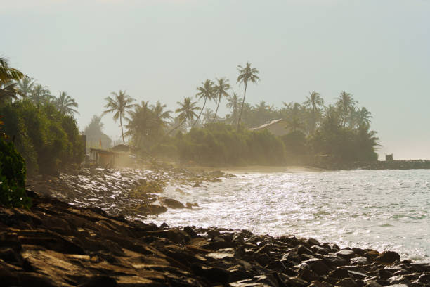 istock Scenic view of tropical beach on Sri Lanka 2183673338