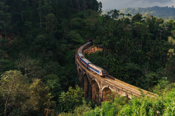 istock Scenic view of train passing nine arch bridge in Ella 2183673578