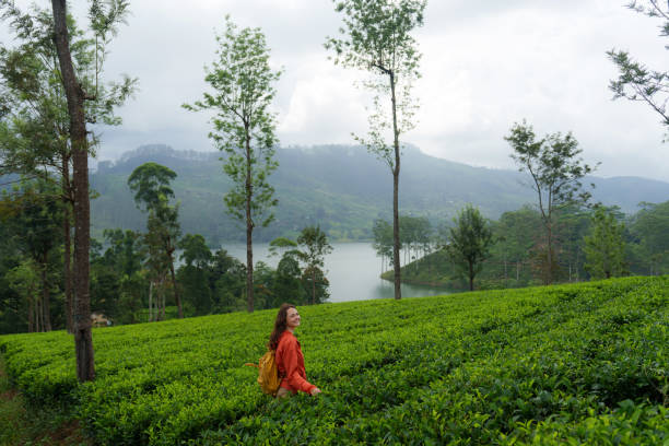 istock Woman exploring on tea plantation in Sri Lanka 2183673799