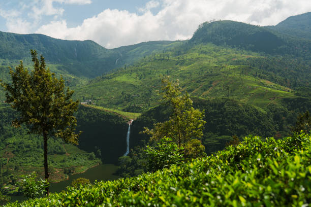 Scenic view of powerful  tropical waterfall in Sri Lanka surrounded by lush green forest