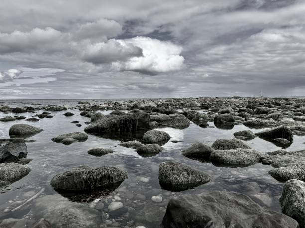 The image captures a serene beach covered in smooth pebbles and larger rocks, stretching along the shoreline. The pebbles vary in shades of grey, white, and brown, polished by the gentle waves that lap against them.