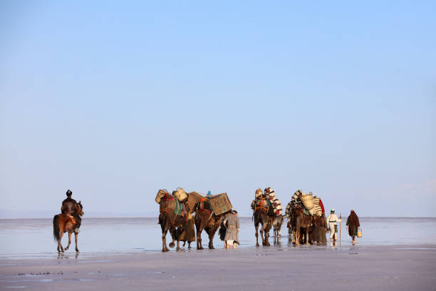 Konya, Türkiye - April 28, 2016: A camel caravan carrying loads and people walking on the shore of Kulu Salt Lake.