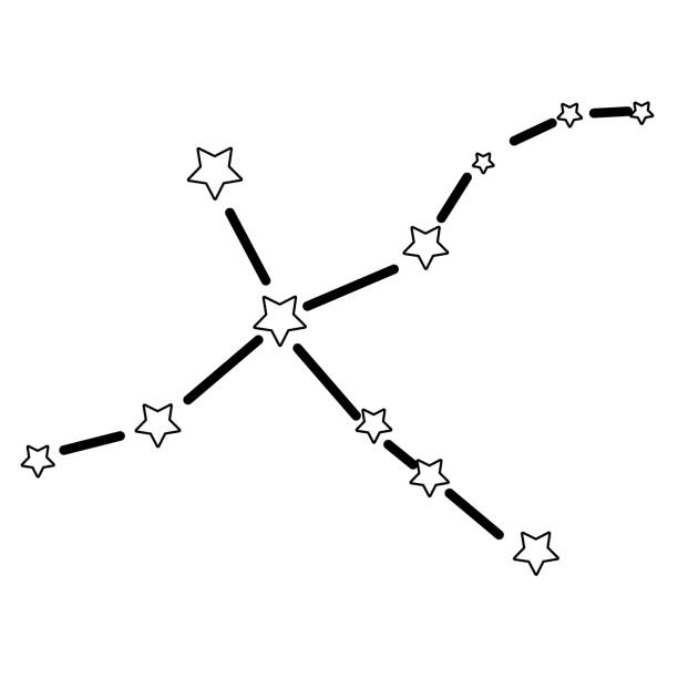 Simple and cute illustration of Cygnus Simple and cute illustration of Cygnus constellation cygnus stock illustrations
