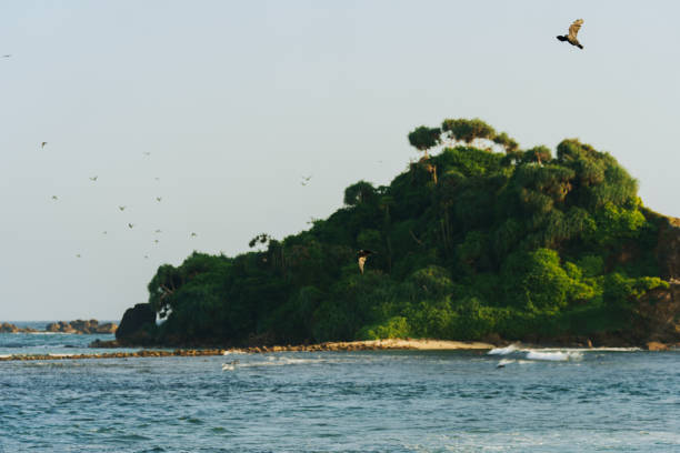Scenic view of idyllic tropical beach on Sri Lanka