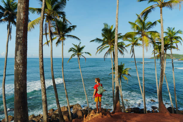 istock Man standing in coconut tree grove and looking at ocean 2183678685