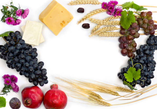 Grapes, dates, figs, garnets, cheese, barley, wheat and wild pink asters on a white background
