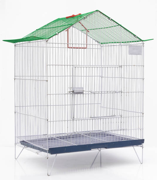 istock Metal cage for birds on white isolated background with copy space. 2183682347