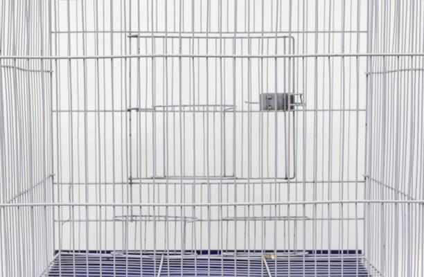 istock Empty Bird Cage with Metal Bars in Close-up View. Selective Focus with blurred white background. 2183682406