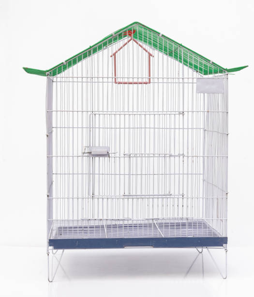 istock Empty bird metal cage on white isolated background 2183682484