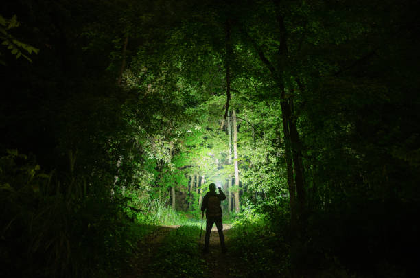 Hiking in the jungle at night