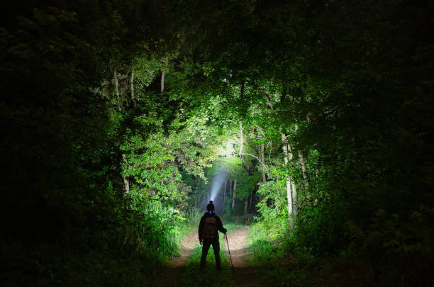 istock Hiking in the jungle at night 2183683562