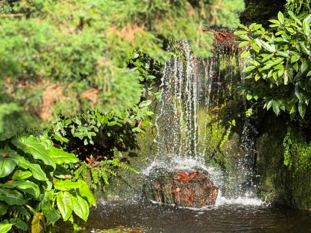 istock Image of tranquil garden waterfall with cascading water feature, natural rock formation, koi pond teeming with fish 2183685857