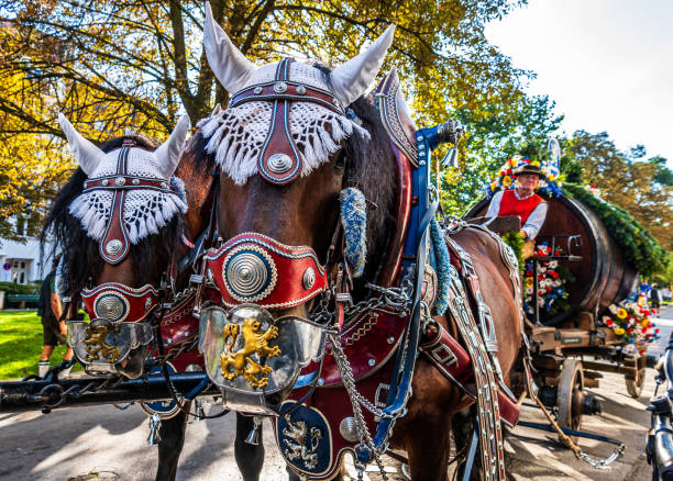The horses of a Fiaker carriage, typical for Vienna.