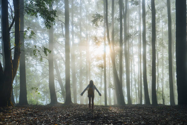 istock Woman walking through eucalyptus forest in fog 2183695137