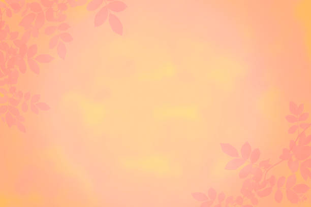 Coral Colored Leaves on Pastel Vignette Background with Copy Space