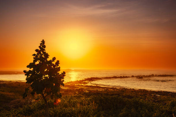Another stunning sunset over the \