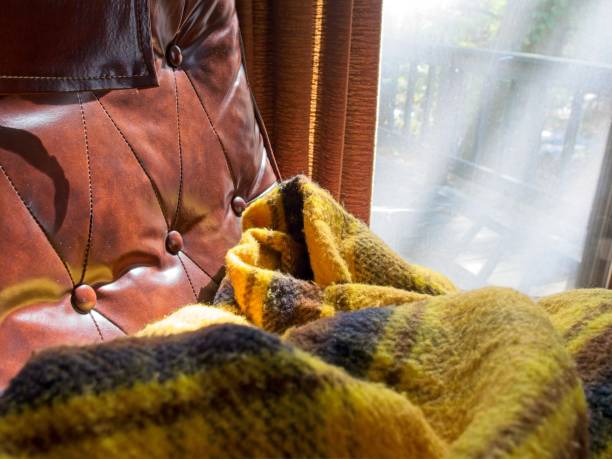 Cozy plaid blanket on recliner with sun shining through window.