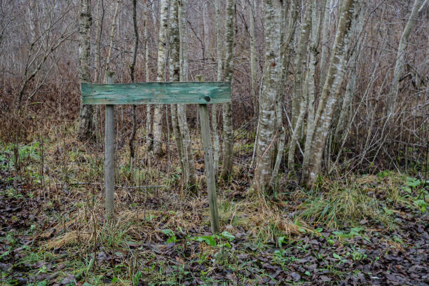 istock Wooden sign in the forest 2183714226